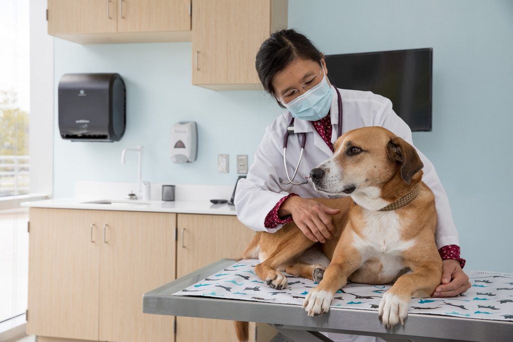 cancer_care cancer_care