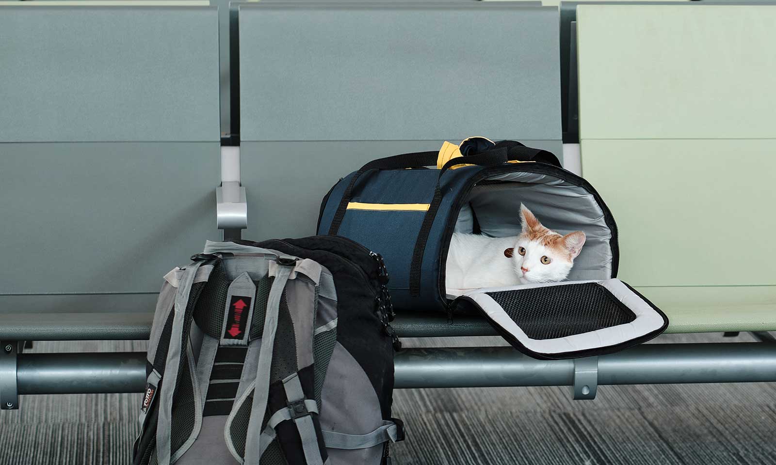 travel