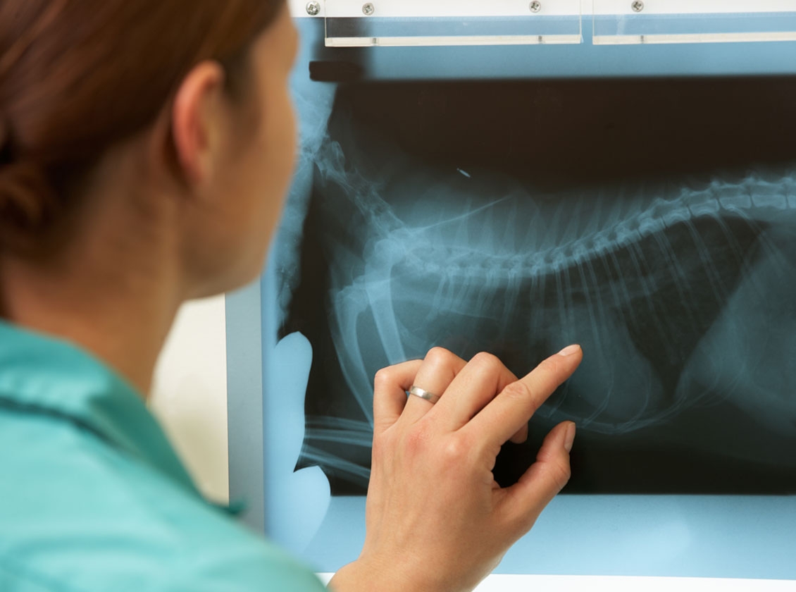 xray